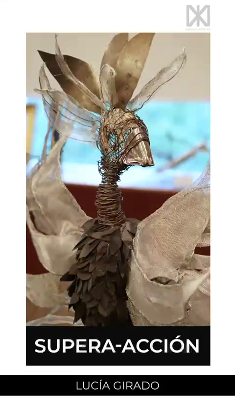 supera-accion